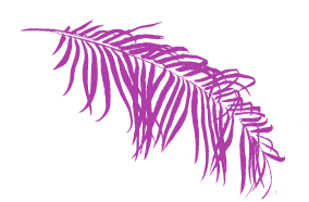 purple-plant
