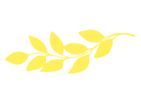 yellow_plant_product
