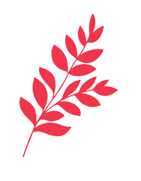 Planta roja